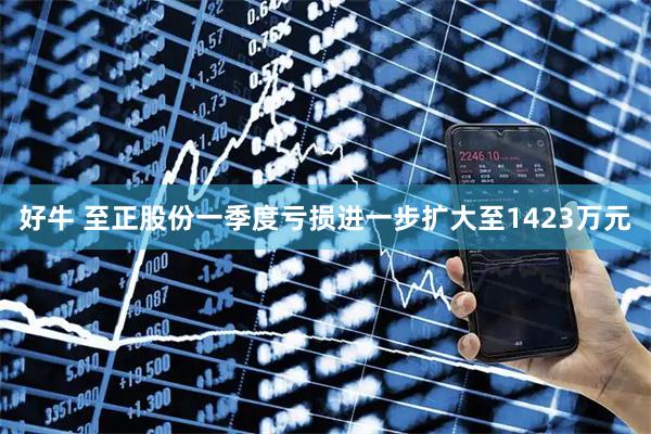 好牛 至正股份一季度亏损进一步扩大至1423万元
