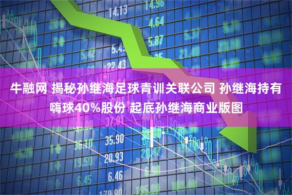 牛融网 揭秘孙继海足球青训关联公司 孙继海持有嗨球40%股份 起底孙继海商业版图