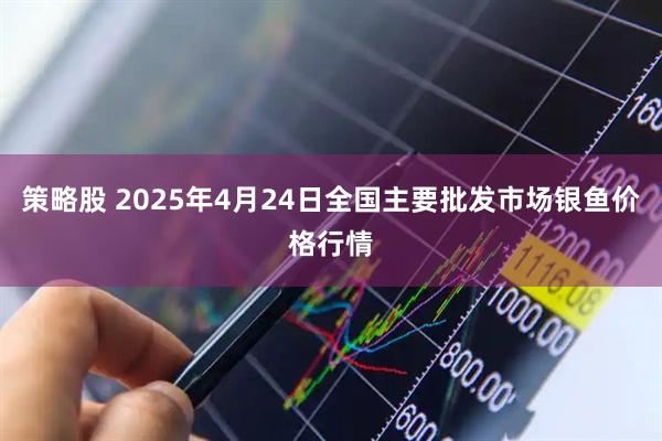 策略股 2025年4月24日全国主要批发市场银鱼价格行情