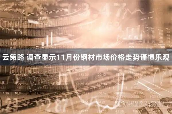 云策略 调查显示11月份钢材市场价格走势谨慎乐观